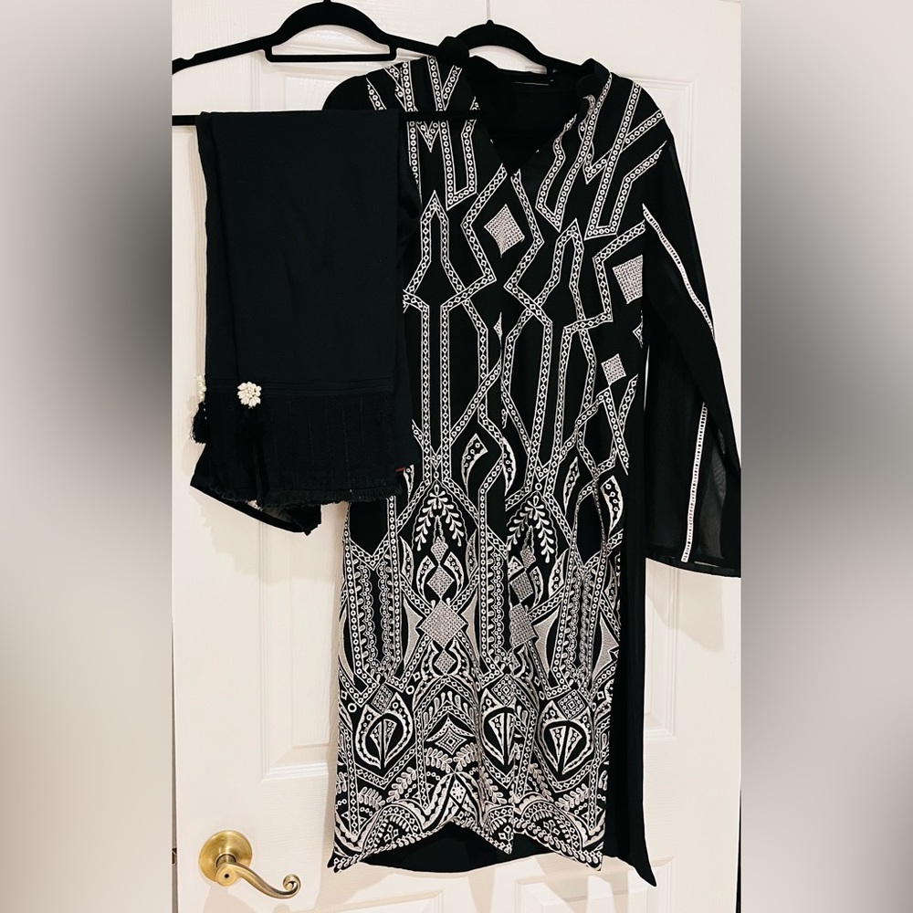 Pakistani Indian Designer Shalwar Kameez - 2 Piec… - image 1